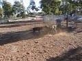 Fun with Max 2