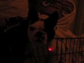 huku2003halloweenaset.html
