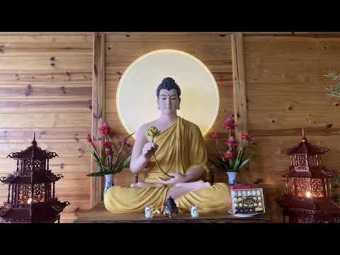 NIKAYA Giảng Giải - Dao Bén Thánh Trí - Kinh Giáo Giới NANDAKA -Trung Bộ III *