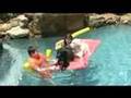 Maple and Odie's Rafting Voyage