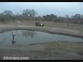 Africam.com: Tracking