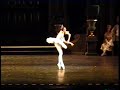 Asylmuratova Sleeping Beauty Blue Bird Pas de deu Zakharova