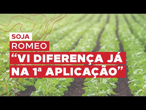 O produtor William elogia ROMEO no controle da ferrugem na soja