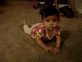 Adelie Crawling