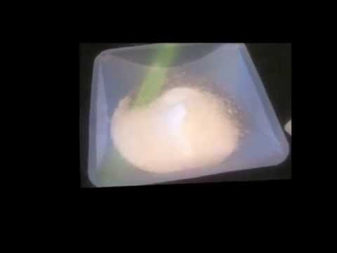 how to isolate eugenol