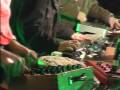 Die Schrauber Live at MS Stubnitz (2)