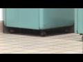 20091231201916(2).mpg