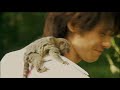 Natsume Yuujin Chou - OP FULL