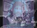 Rubylove Cat Stevens