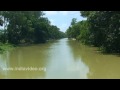 Kuvai river Santiniketan  Kolkata  Calcutta  West Bengal