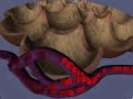 according-to-brody-cellular-respiration.html