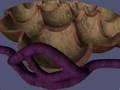 The Respiration Process in the human body