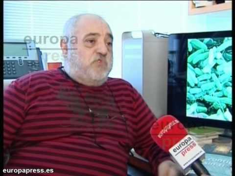 e coli - El profesor de investigación del CSIC destinado en el Centro Nacional de Biotecnología, Miguel Vicente ha indicado que E.Coli es una bacteria muy abundante q...