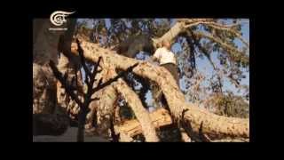 هنا فلسطين - خان يونس - 2014-07-06