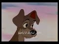 نادر خضر اقدار