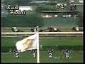 Skip Away - 1996 Haskell Stakes