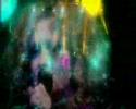 Goldfrapp Live In Brixton (Great sound quality)