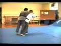 Judo-Throw-Ippon-Sei