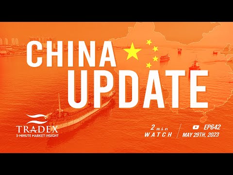 3MMI - China Update: EU Buyers Show Increased Interest, Chinese Plants Struggle with Orders, Processing Opportunities in China