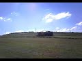 silage 2008