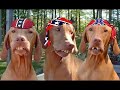 Redneck Anthem Ty England