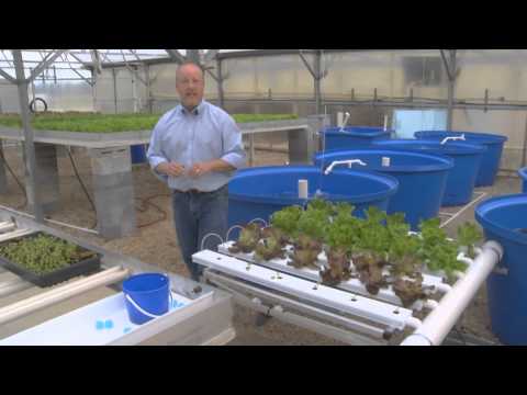 greenhouse aquaponics from the ground up indoor aquaponics garden free