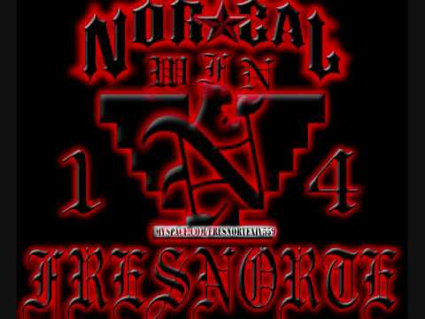 nortenos 14