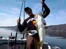 Havfiske