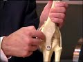 Minimally Invasive Knee Replacement