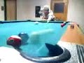 Me Playing Pool