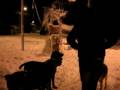videos de Nevada Dosrius 7/1/09 00:00