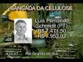 BANCADA CELULOSE PARTE 2 BANCADA CELULOSE PARTE 2