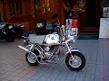 HONDA ゴリラ　カスタム　Monkey 　Gorilla