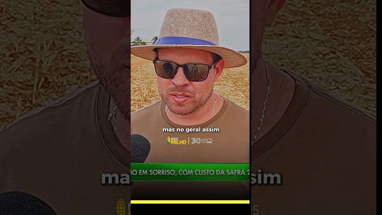 Colheita do milho avança em Sorriso (MT), mas custos da próxima safra preocupam