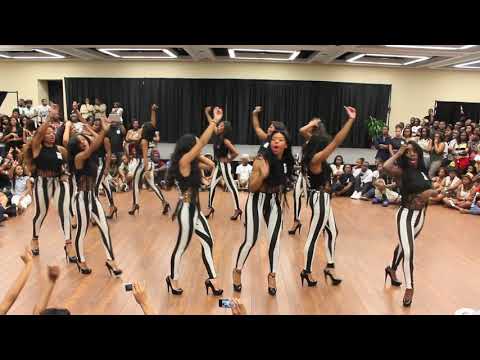 aka - Winner of the 2012 ONYX Stroll-Off Competition: The Theta Sigma Chapter of Alpha Kappa Alpha Follow the Director @DBonTV *Note* Theta Sigma would like to tha...