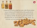 PsittacusTV - PSITTACUS Gama de piensos y papillas para loros