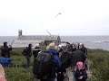 Farne Island Madness