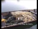 \"Vision our Home\": Lao villagers\ \"Vision our Home\": Lao villagers\