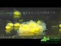 Hatching King Tiger Pleco キンペコの孵化