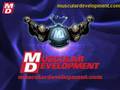 Flex-Wheeler-Intervi