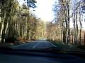 henne im odenwald