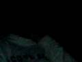 videos de chasin racoons on mondai night