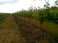 videos de 20112008(005)tt