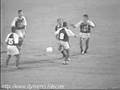 Fighting Referee