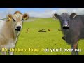 Smosh - Beef 'n Go Theme Song (contest winner)