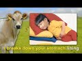 Smosh - Beef 'n Go Theme Song (contest winner)