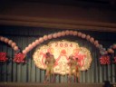 Anna's Performance