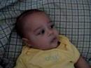 bebe zolio