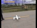 Funny Out of Control RC Predator