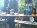 Nuhla ještě střízlivý